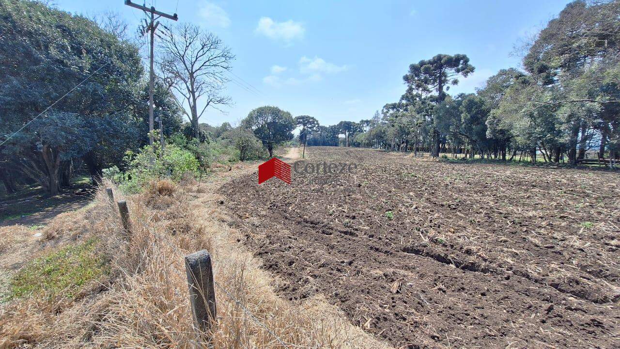 Terreno para à venda no Campo Largo da Roseira em São José dos Pinhais - 9830: 