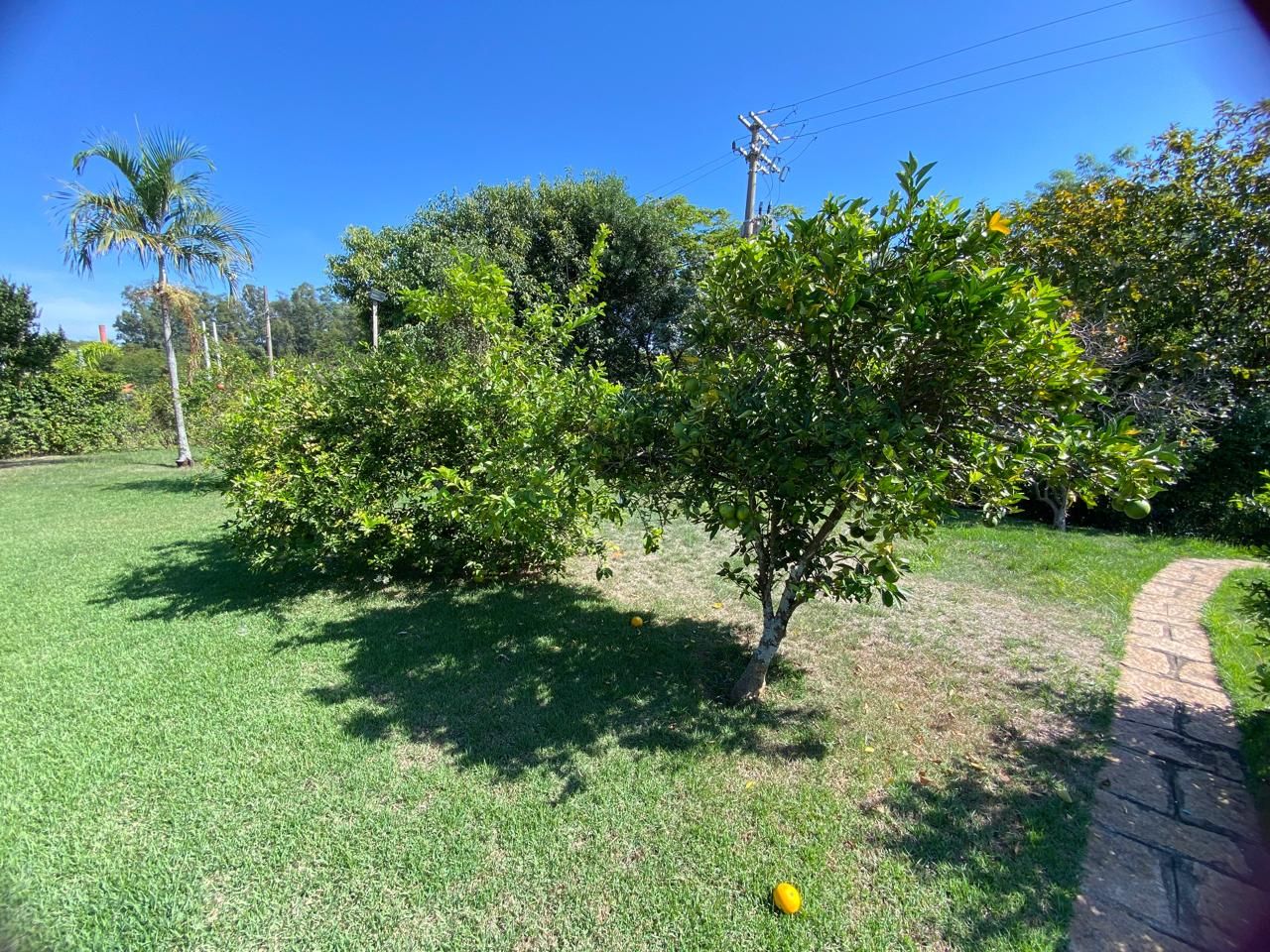 Casa de condomínio à venda no Condominio Fazenda Palmeiras Imperiais:
