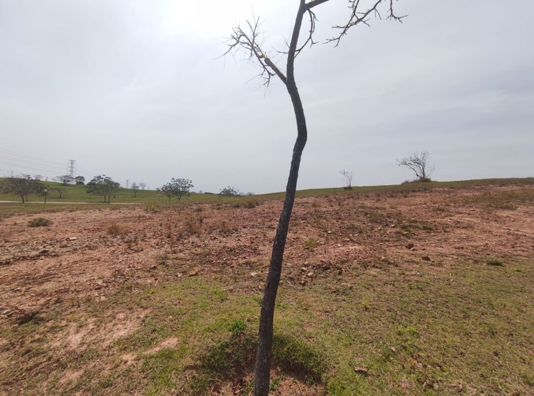 Terreno de Condomínio à venda no Residencial Parque Campos de Santo Antônio II:
