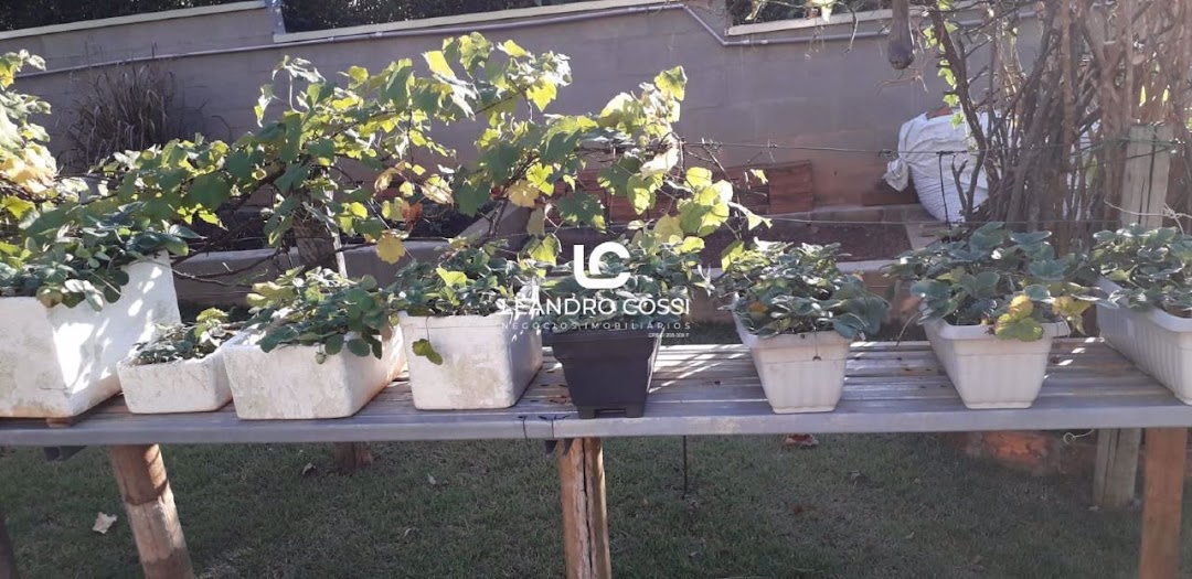 Casa de condomínio à venda no Condomínio Campos de Santo Antônio: