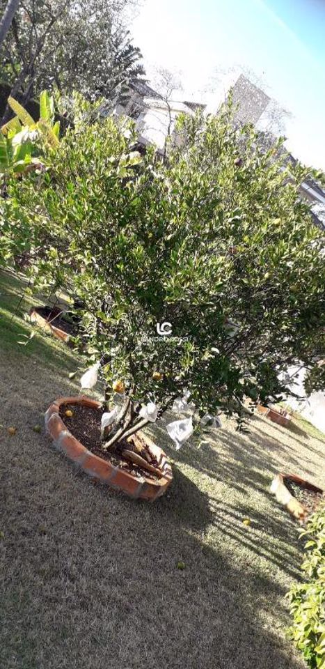 Casa de condomínio à venda no Condomínio Campos de Santo Antônio: