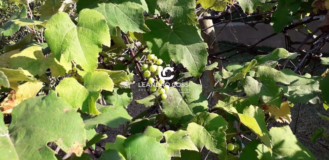 Casa de condomínio à venda no Condomínio Campos de Santo Antônio: