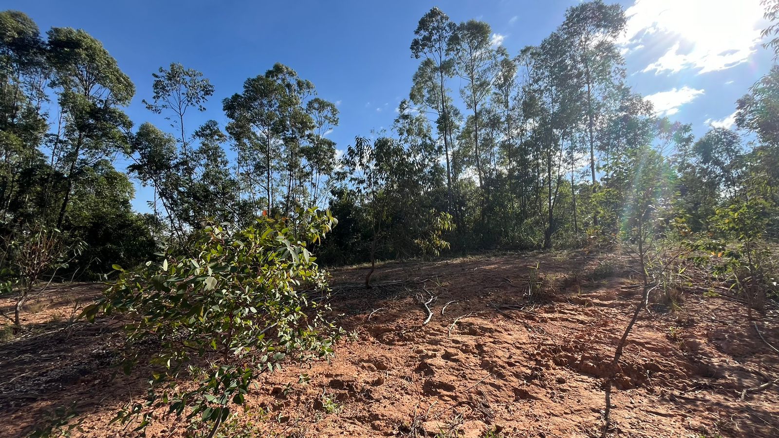 Terreno de Condomínio Condomínio Terras de São José II Itu 