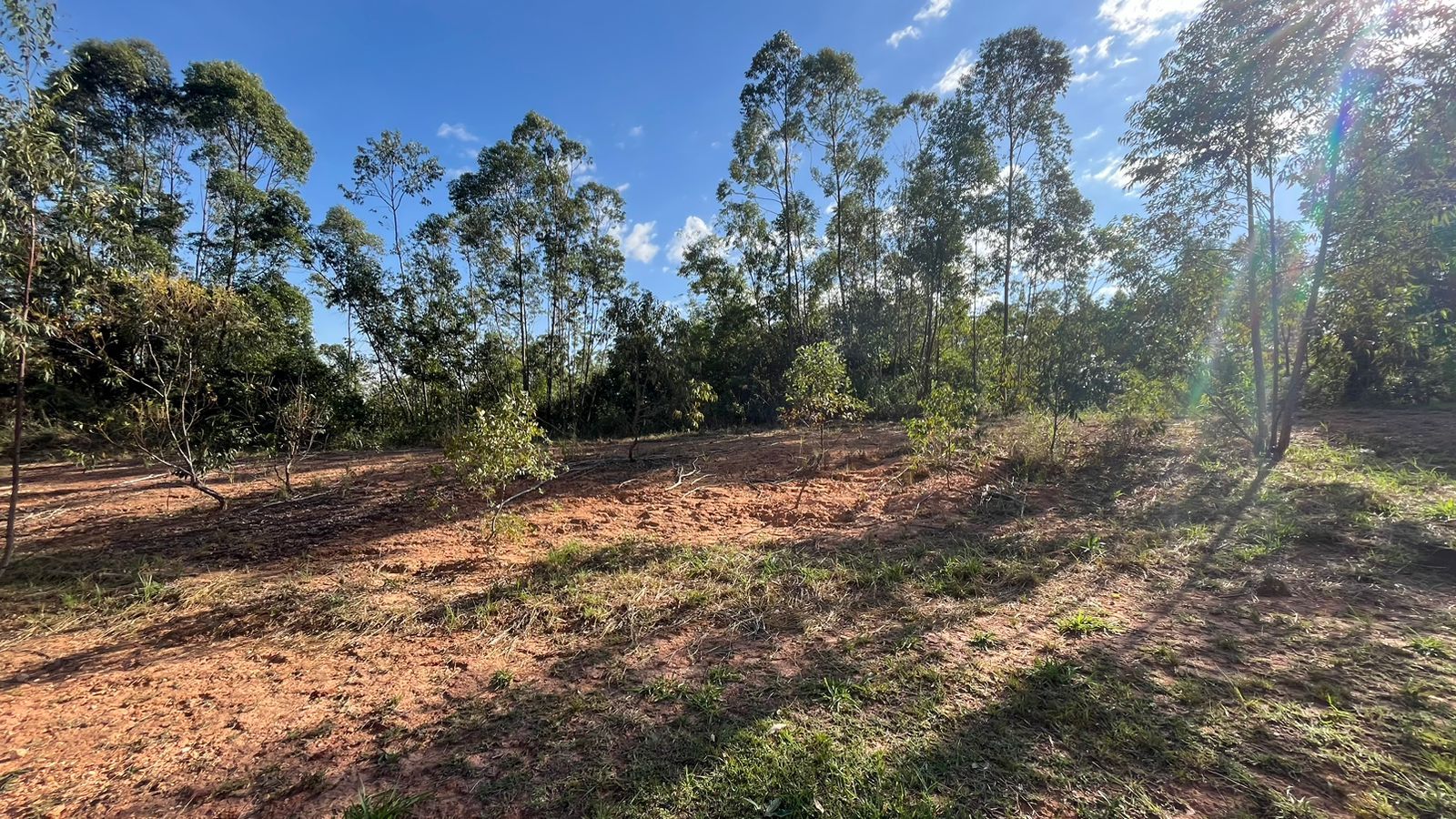 Terreno de Condomínio Condomínio Terras de São José II Itu 