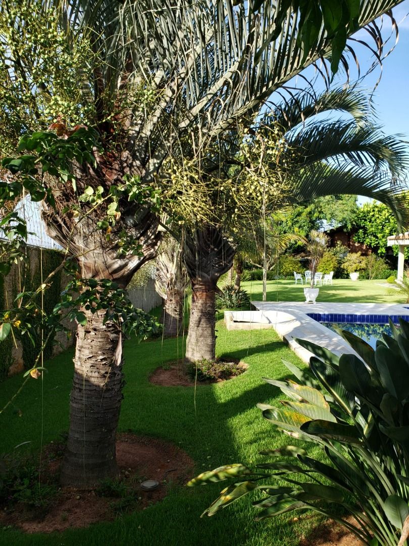 Casa de condomínio à venda no Condomínio Monte Belo: