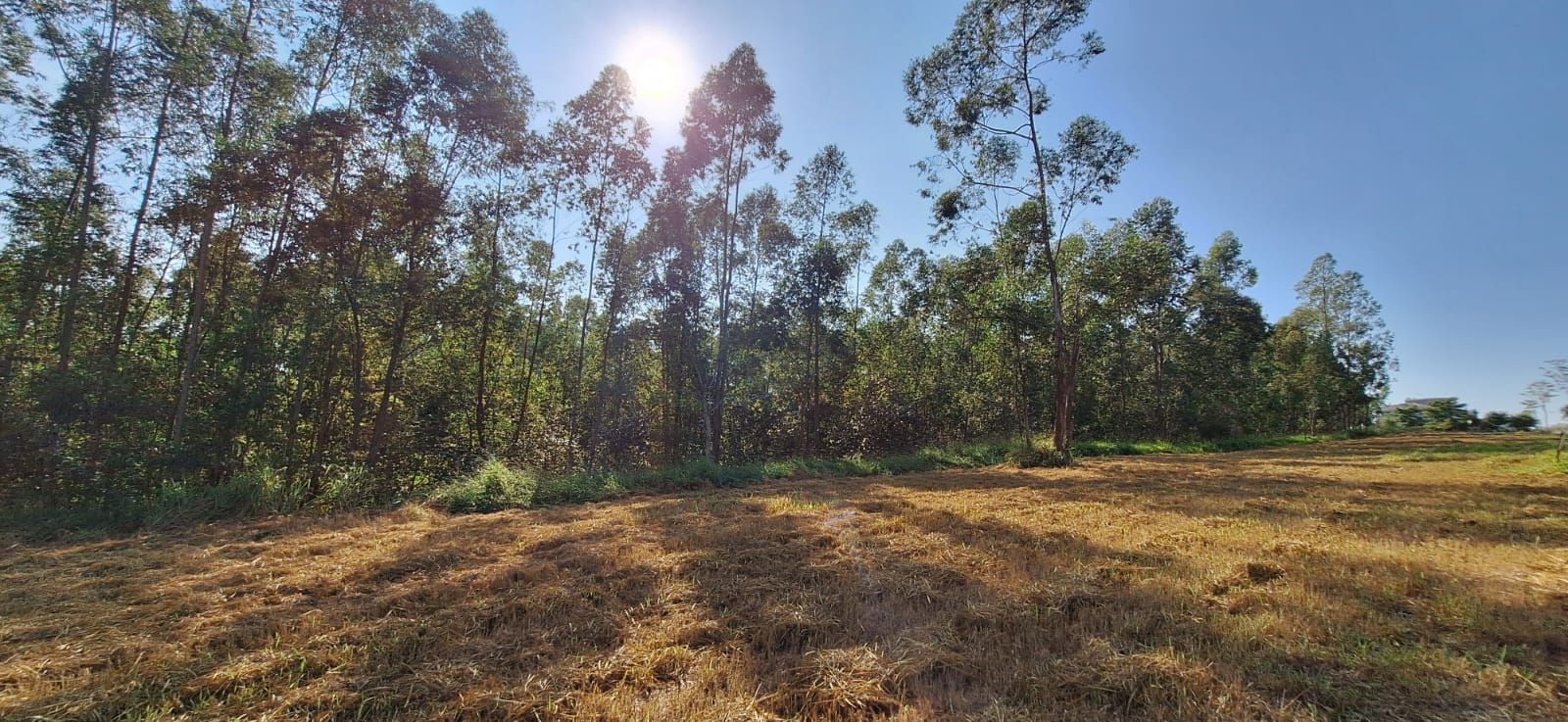 Terreno de Condomínio Condomínio Terras de São José II Itu 