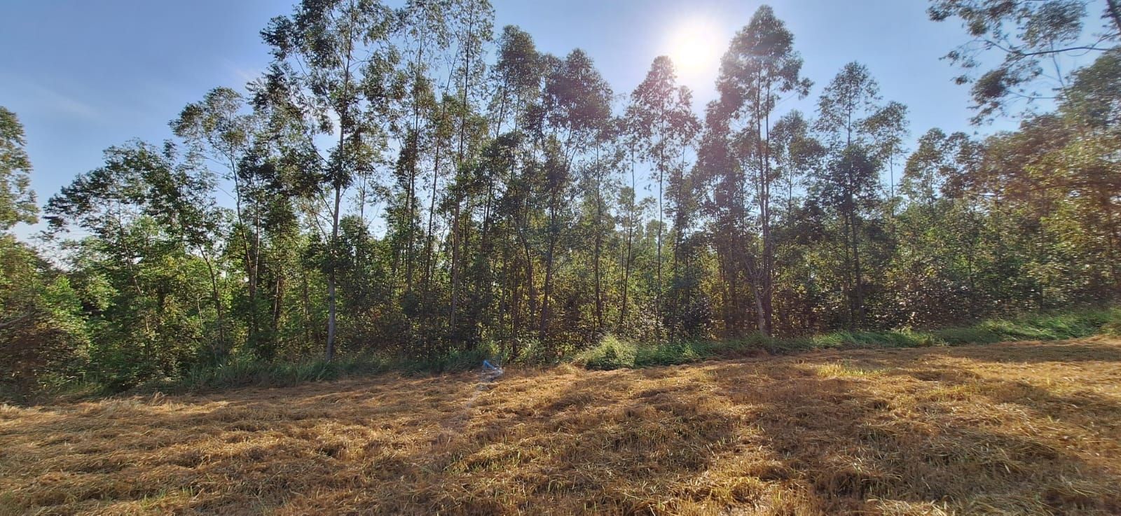 Terreno de Condomínio Condomínio Terras de São José II Itu 