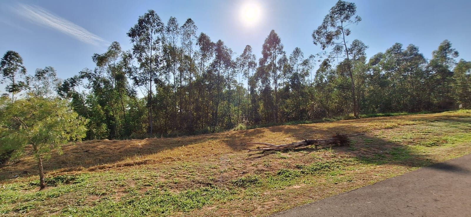 Terreno de Condomínio Condomínio Terras de São José II Itu 