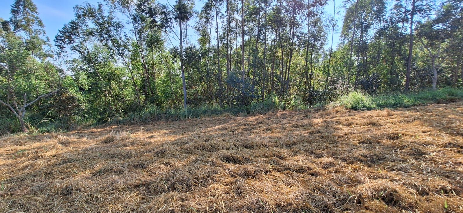 Terreno de Condomínio Condomínio Terras de São José II Itu 