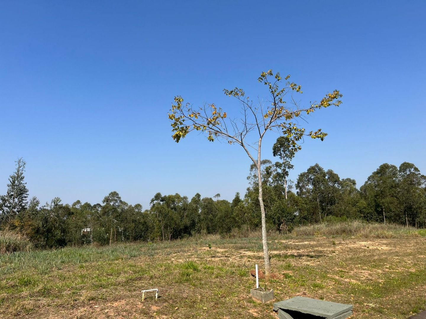 Terreno de Condomínio à venda no Condomínio Terras de São José II: