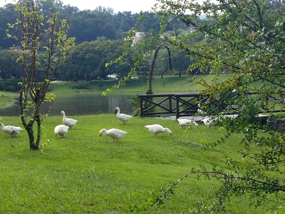 Casa de condomínio à venda no Ville de Chamonix: