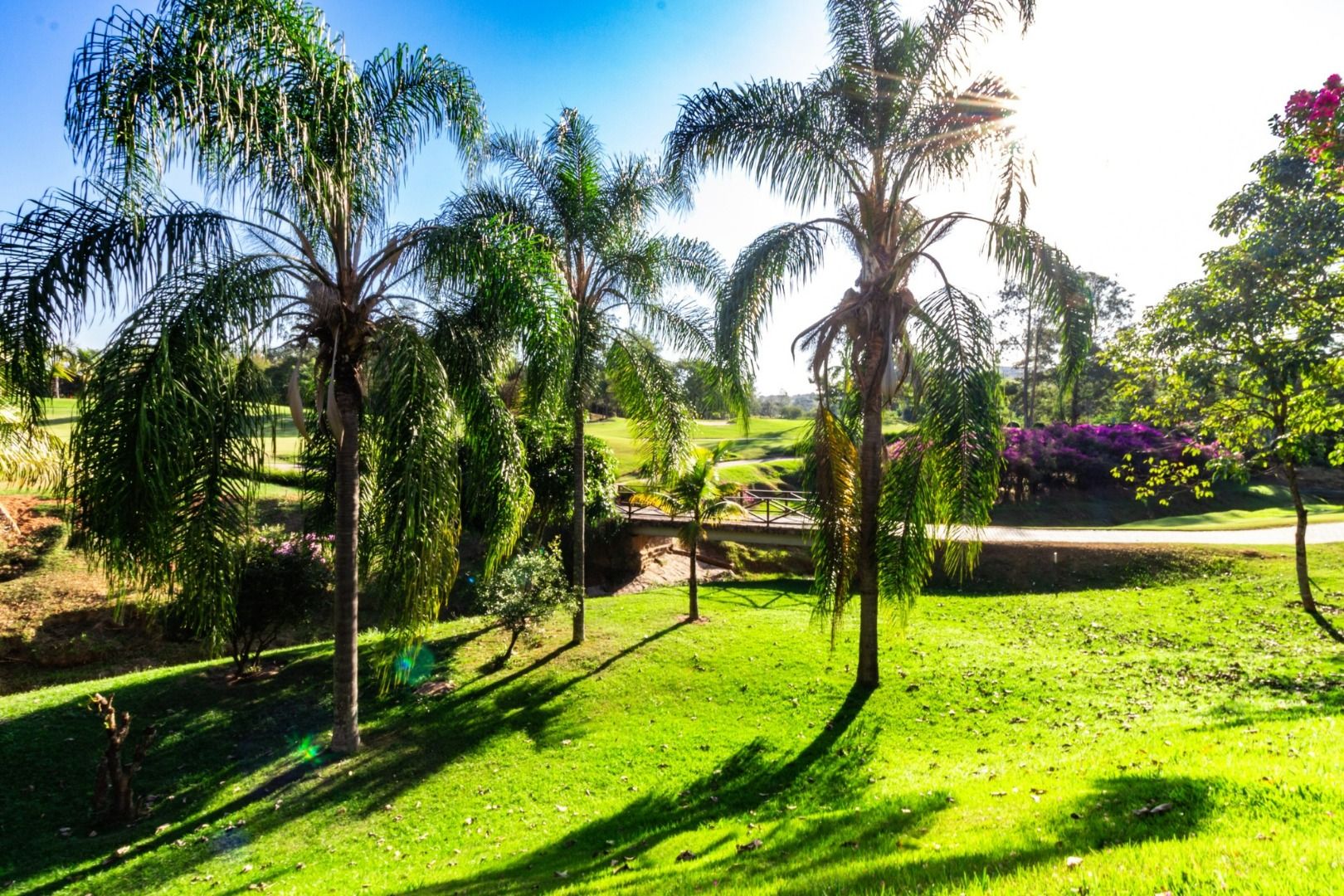 Casa de condomínio à venda no Condomínio Terras de São José: