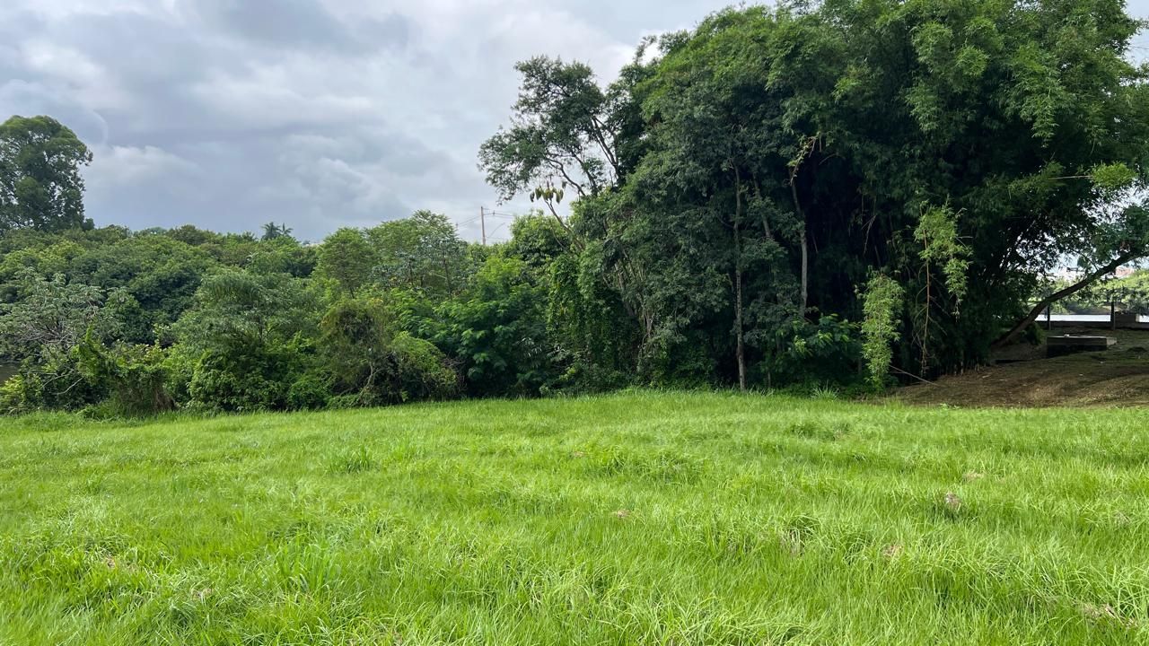 Terreno de Condomínio à venda no Condominio Fazenda Palmeiras Imperiais:
