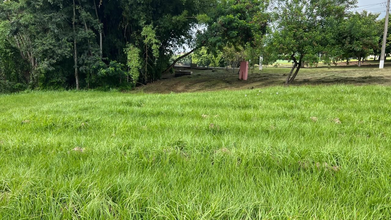 Terreno de Condomínio à venda no Condominio Fazenda Palmeiras Imperiais: