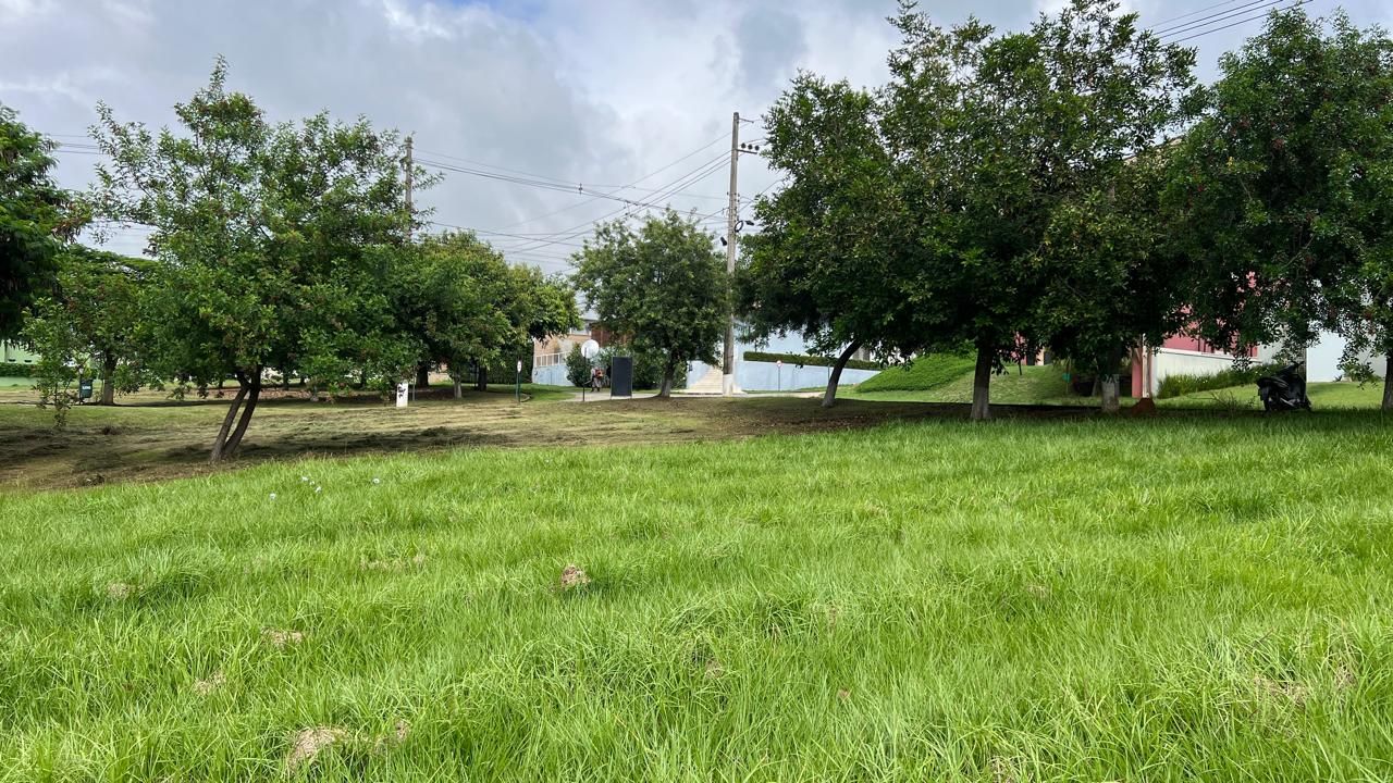 Terreno de Condomínio à venda no Condominio Fazenda Palmeiras Imperiais: