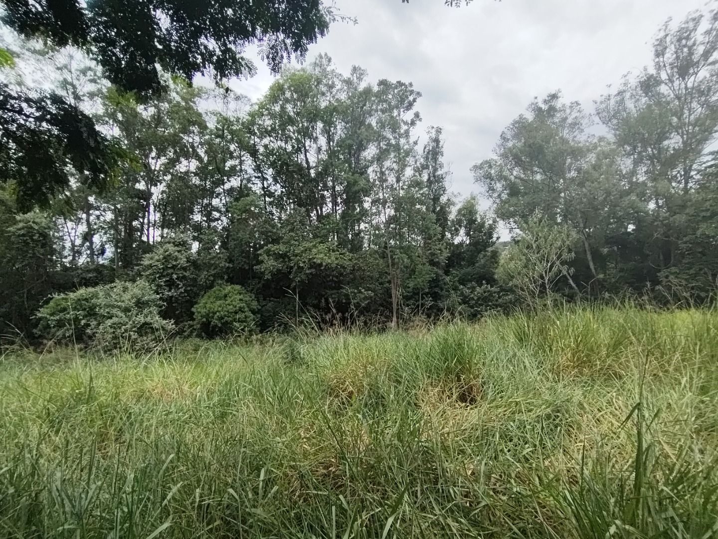 Terreno de Condomínio à venda no Condomínio Terras de São José II: