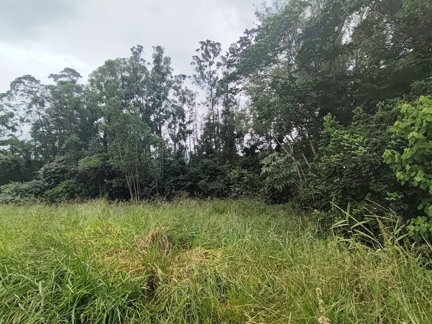 Terreno de Condomínio Condomínio Terras de São José II Itu