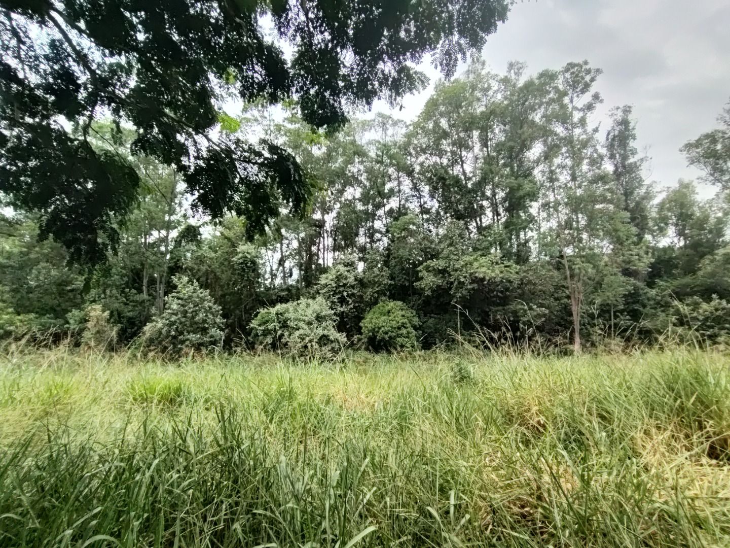 Terreno de Condomínio à venda no Condomínio Terras de São José II: