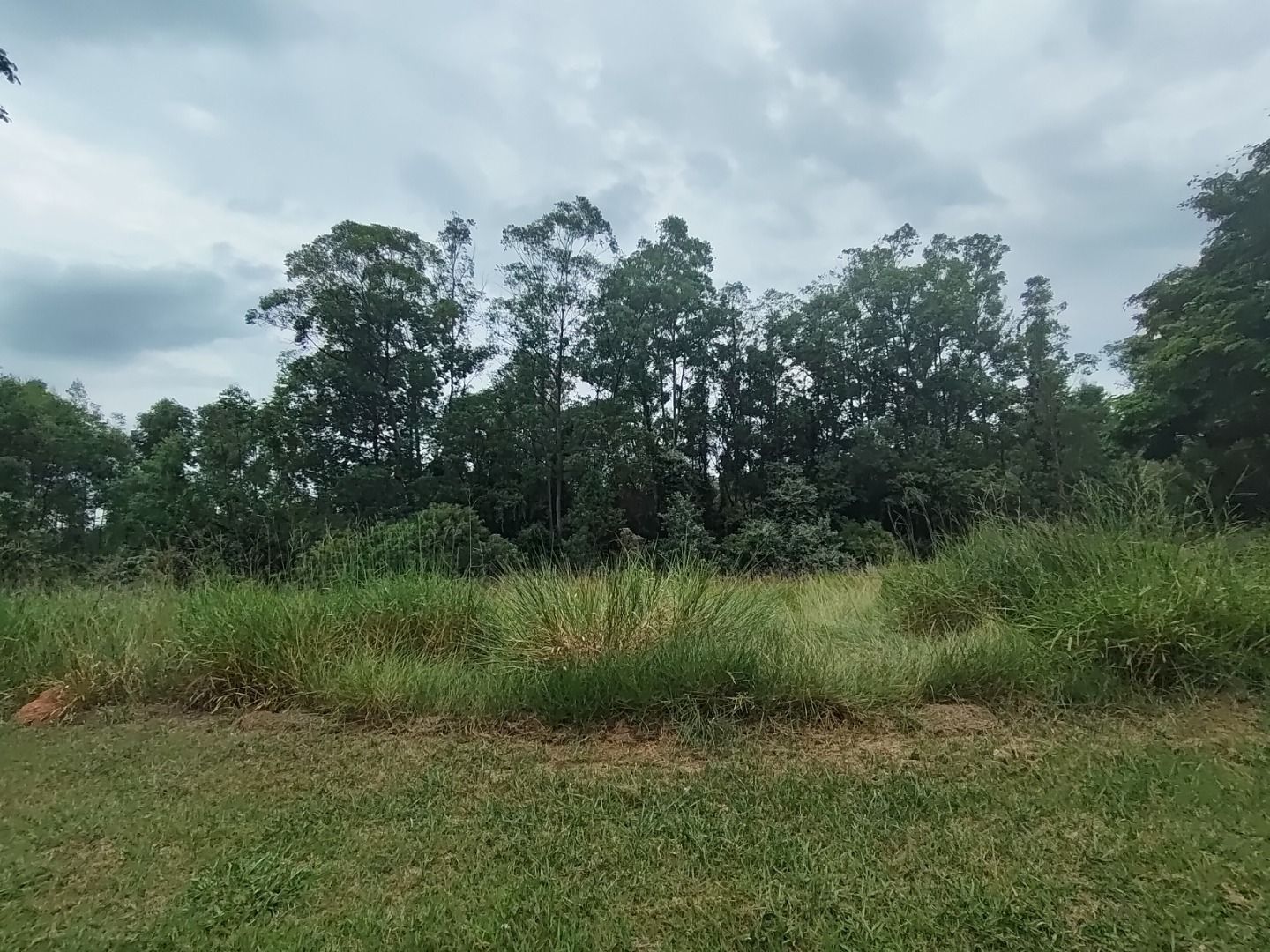 Terreno de Condomínio à venda no Condomínio Terras de São José II: