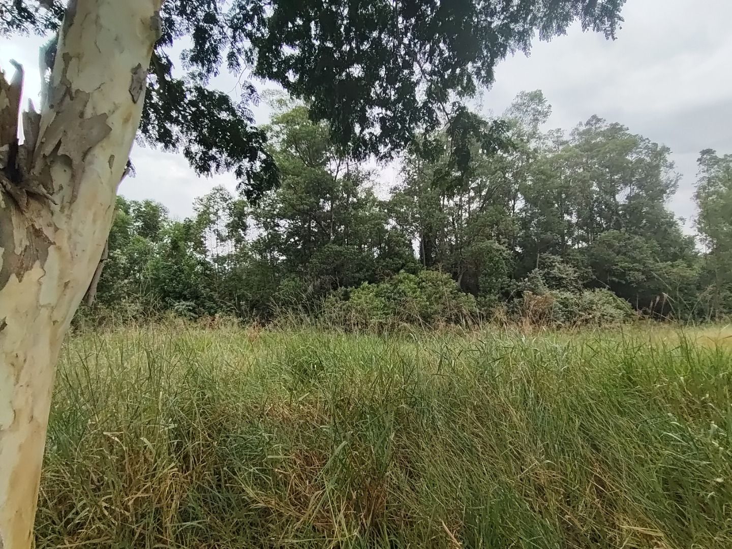 Terreno de Condomínio à venda no Condomínio Terras de São José II: