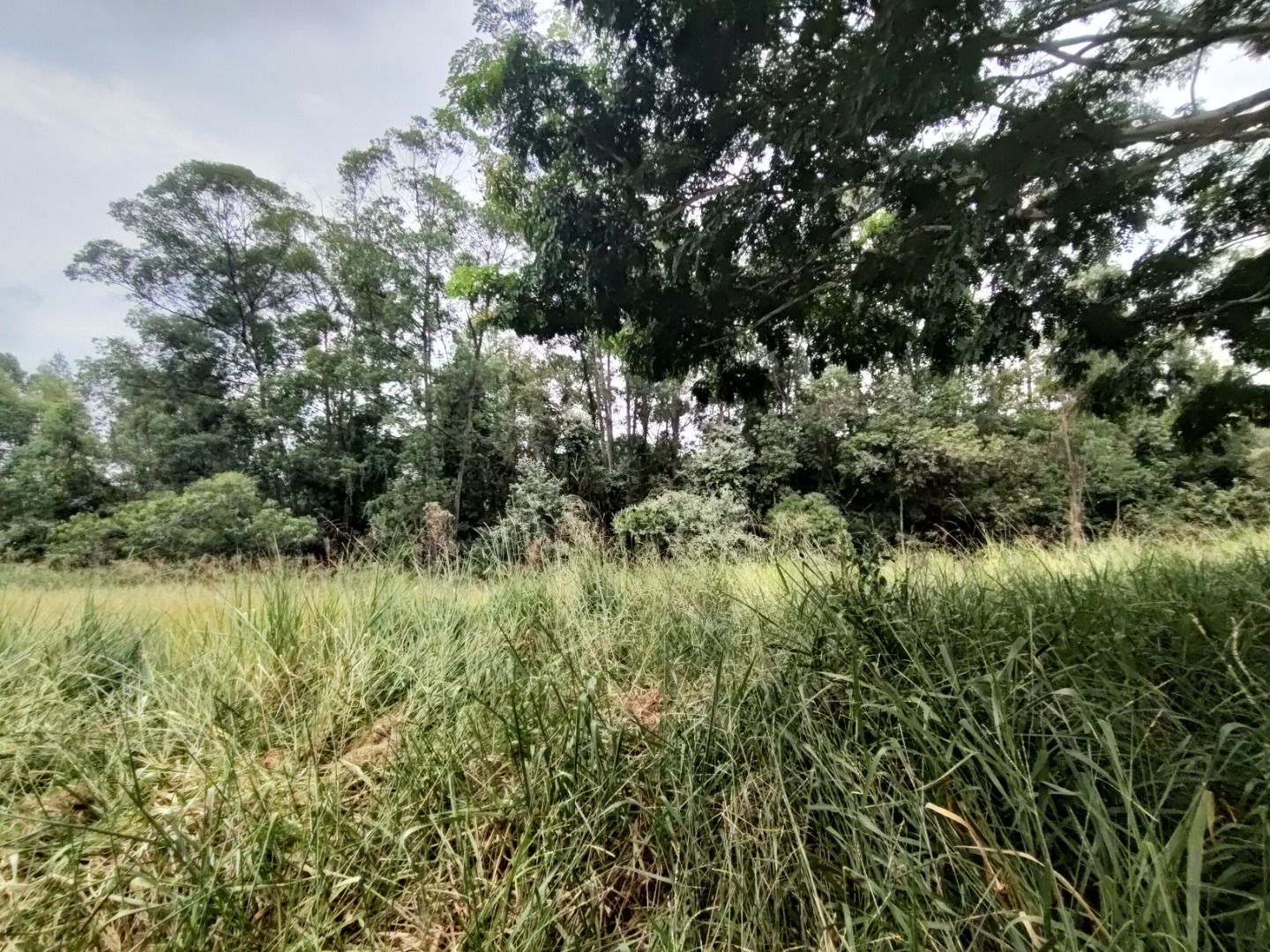 Terreno de Condomínio à venda no Condomínio Terras de São José II:
