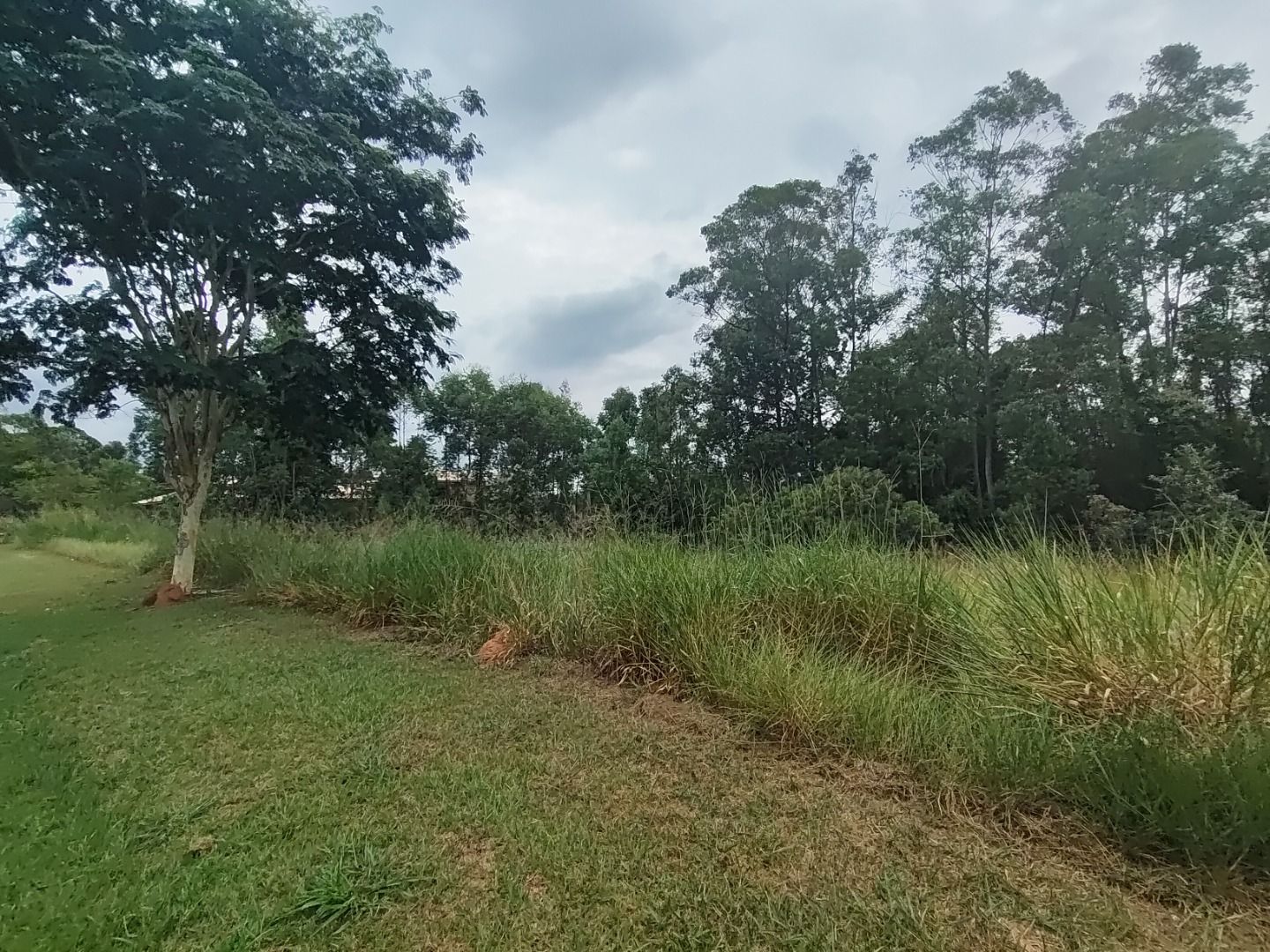 Terreno de Condomínio à venda no Condomínio Terras de São José II: