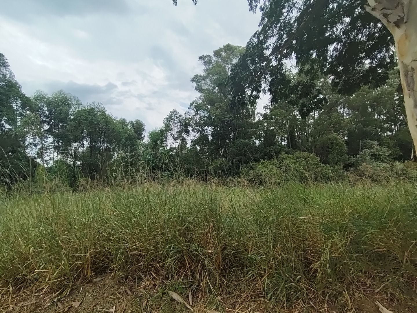 Terreno de Condomínio Condomínio Terras de São José II Itu