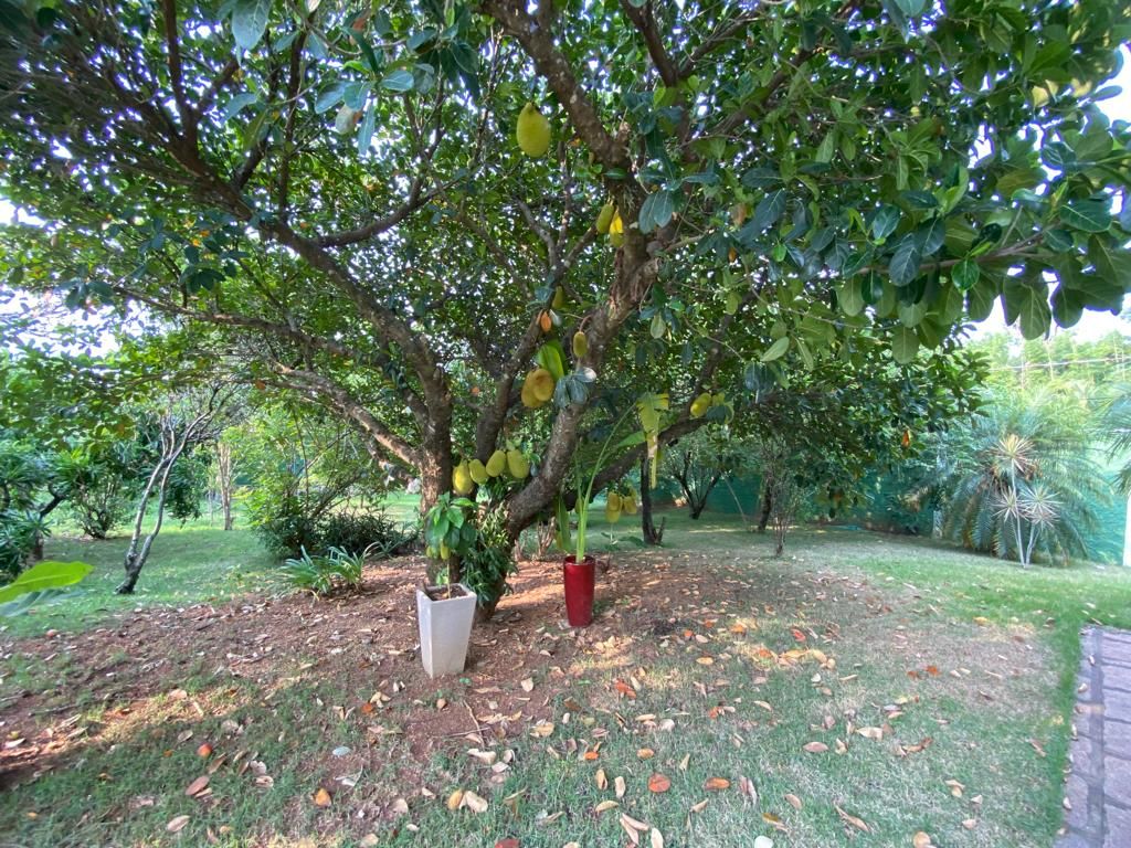 Casa de condomínio à venda no Condomínio Zuleika Jabour: