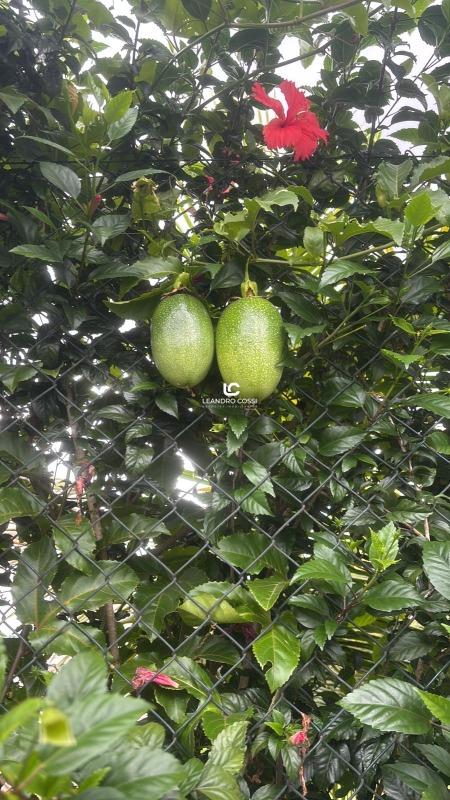 Casa de condomínio à venda no Terras de Mont Serrat: