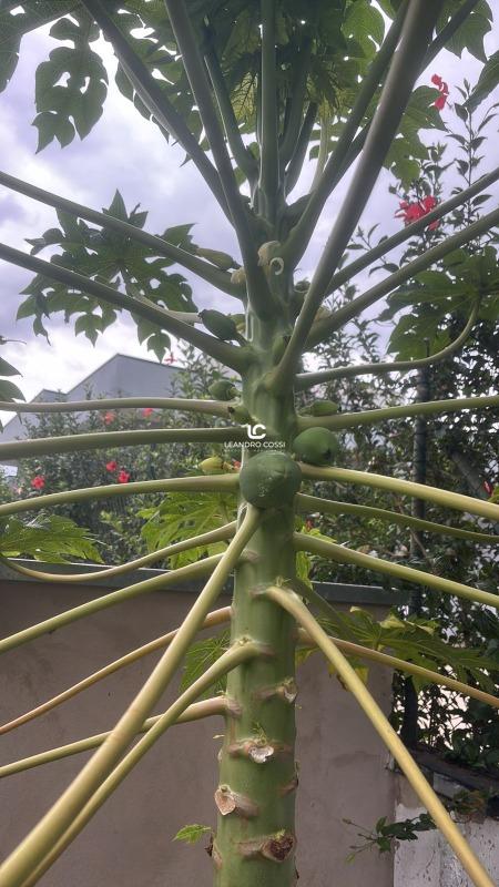 Casa de condomínio à venda no Terras de Mont Serrat: