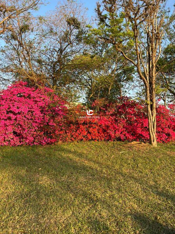 Terreno de Condomínio à venda no Condomínio Fazenda Kurumin: 