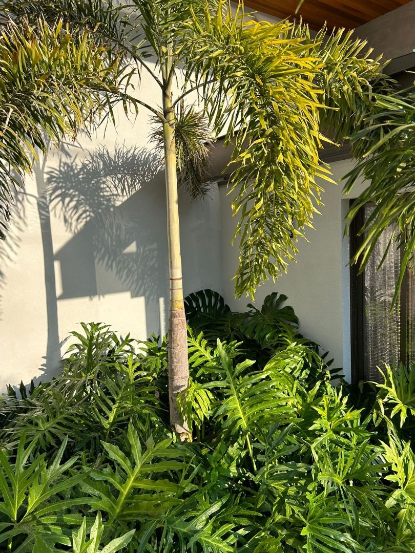 Casa de condomínio à venda no Condomínio Reserva Saint Paul: