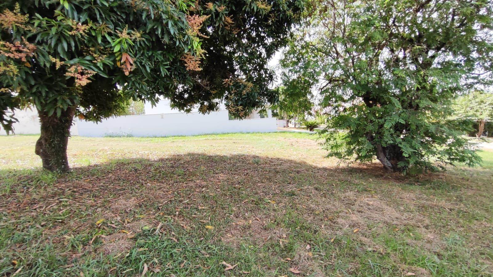 Terreno de Condomínio à venda no Condominio Fazenda Palmeiras Imperiais: