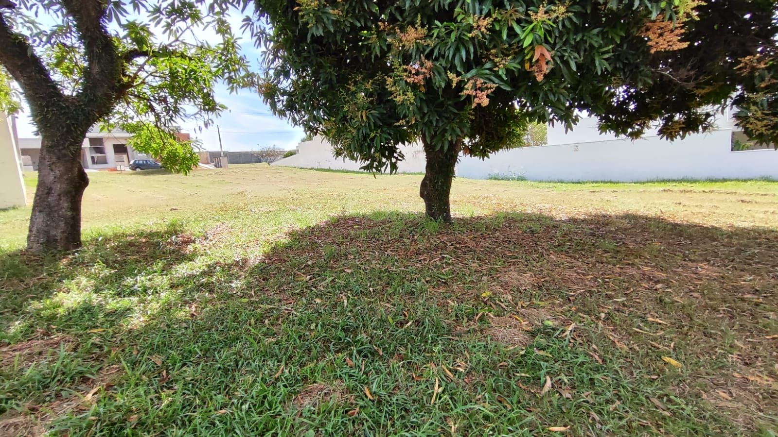 Terreno de Condomínio à venda no Condominio Fazenda Palmeiras Imperiais: