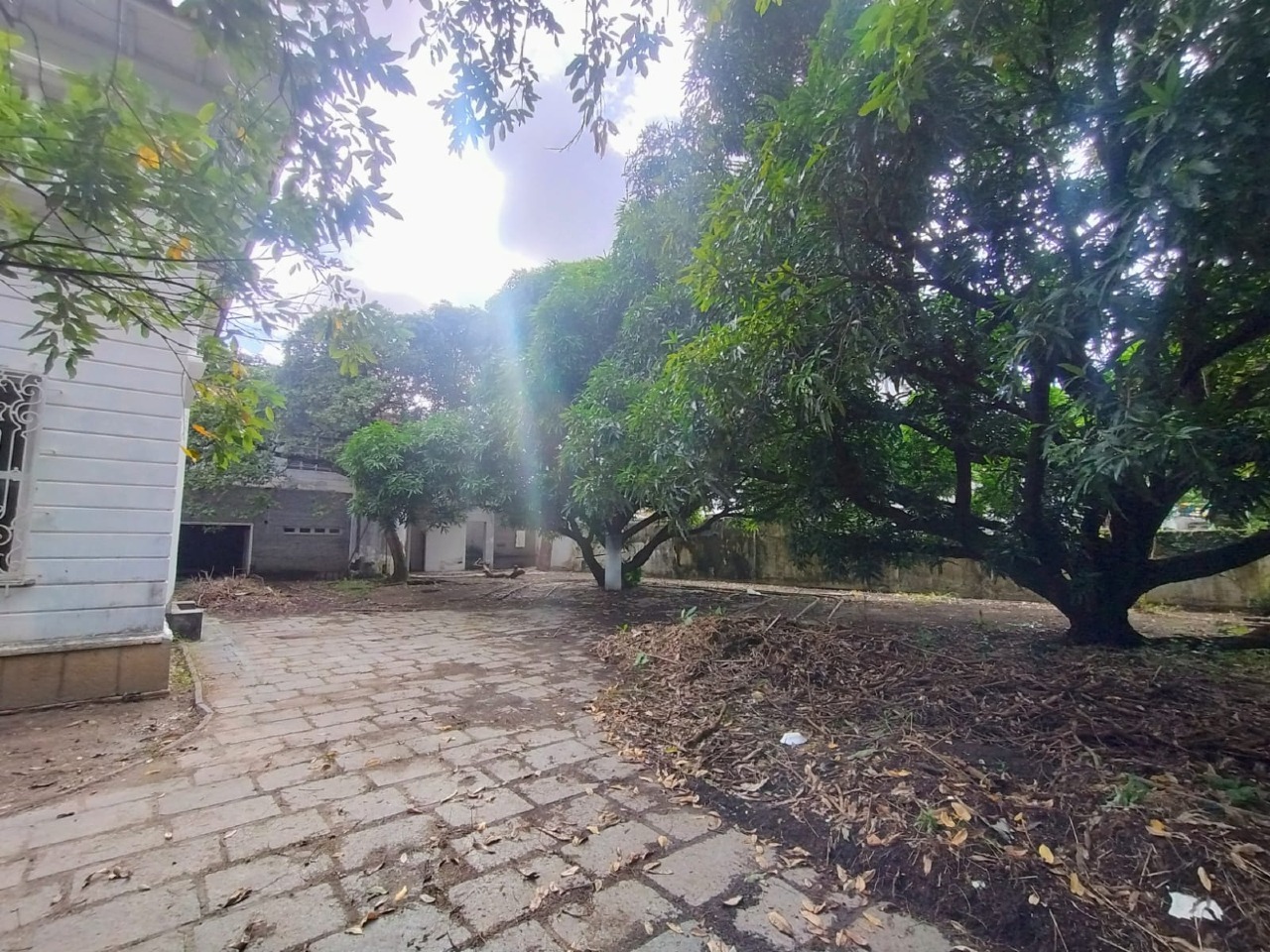 Casa para aluguel no Madalena: 