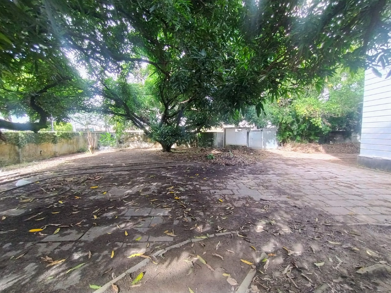 Casa para aluguel no Madalena: 