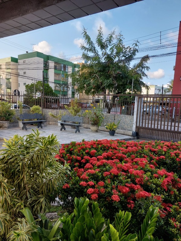 Apartamento 3 quartos ( 1 suíte ) para à venda em Várzea - Recife - Edifício Rio Araguaia - CTI imobiliaria: Jardim 