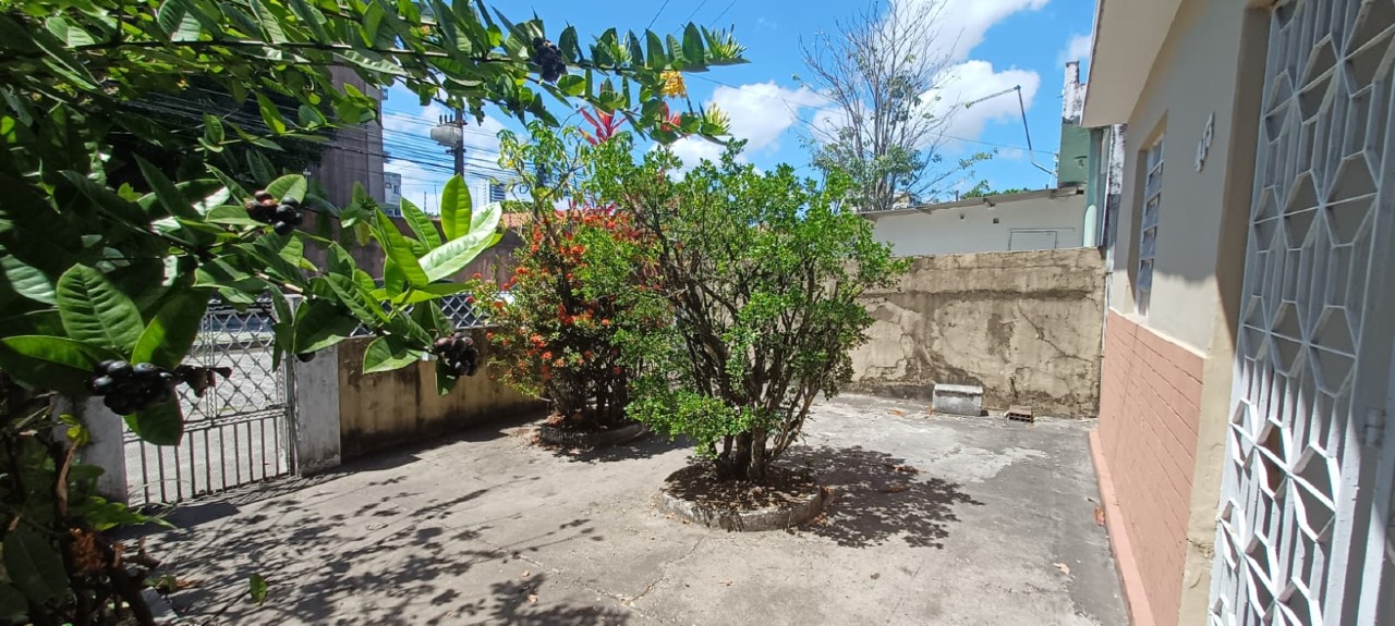 Casa 3 quartos ( ) para à venda em Iputinga - Recife - - CTI imobiliaria: Jardim