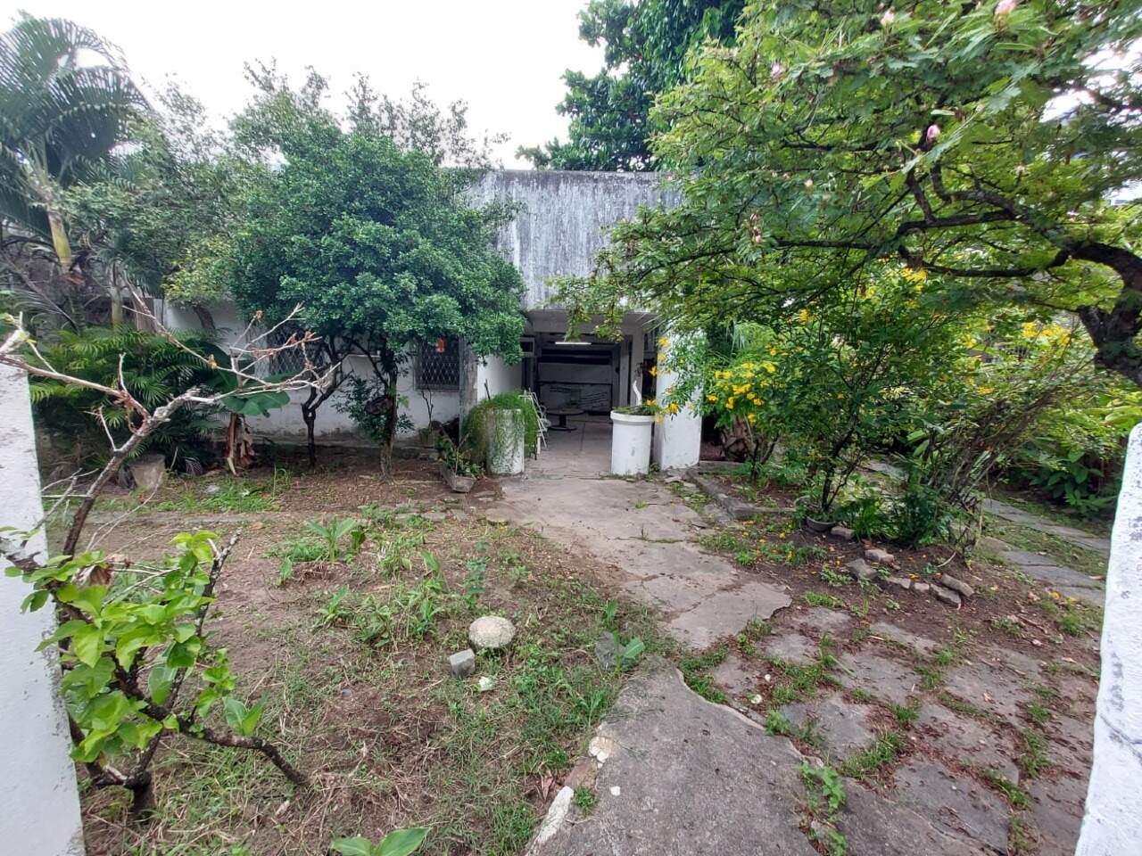 Casa 5 quartos ( ) para à venda em Cordeiro - Recife - - CTI imobiliaria: Quintal 