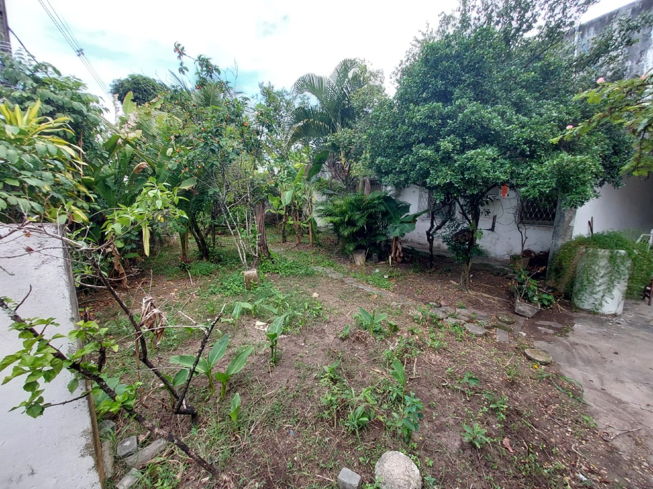 Casa 5 quartos ( ) para à venda em Cordeiro - Recife - - CTI imobiliaria: Quintal 