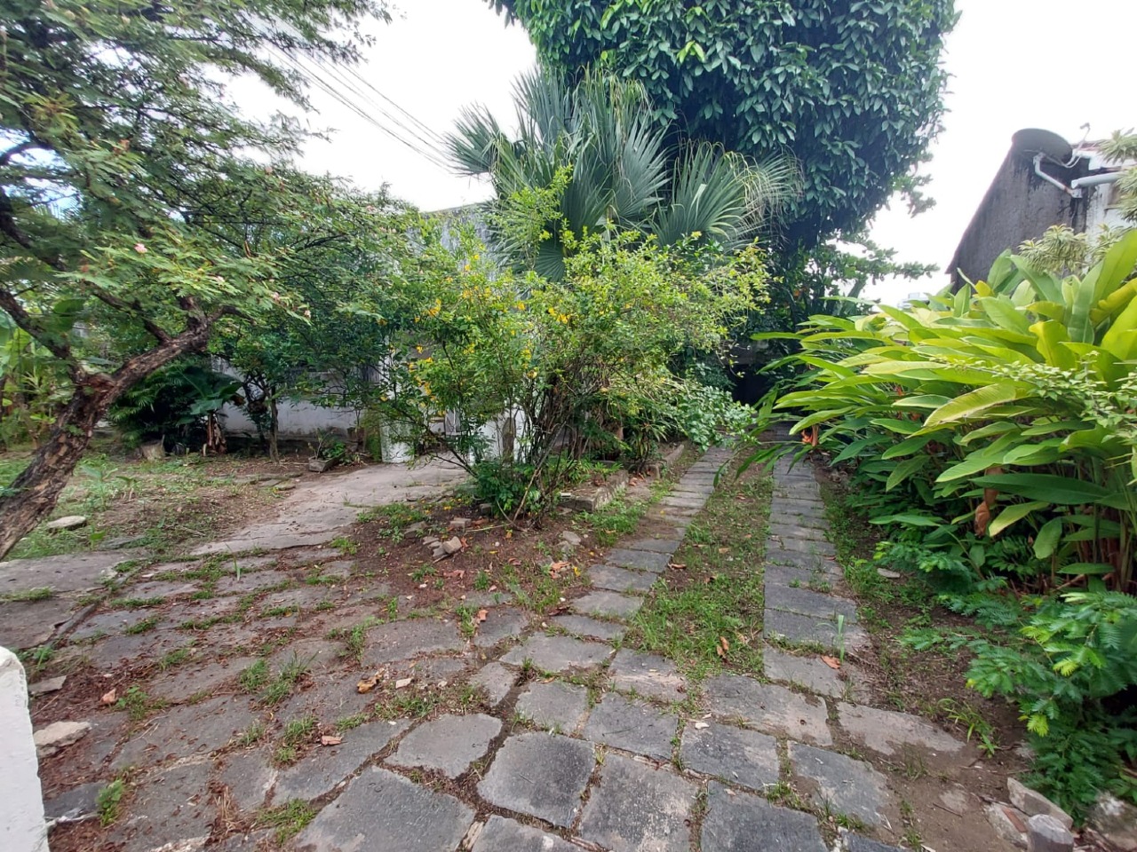 Terreno ( ) para à venda em Cordeiro - Recife - - CTI imobiliaria: Quintal 