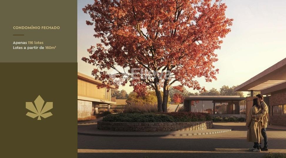 Terreno à venda no Bom Princípio: 