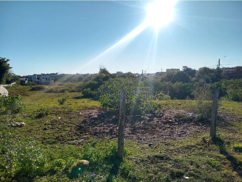 TERRENO à venda no VILA CARLI: 