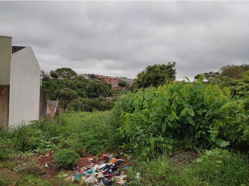 TERRENO à venda no MORRO ALTO: 
