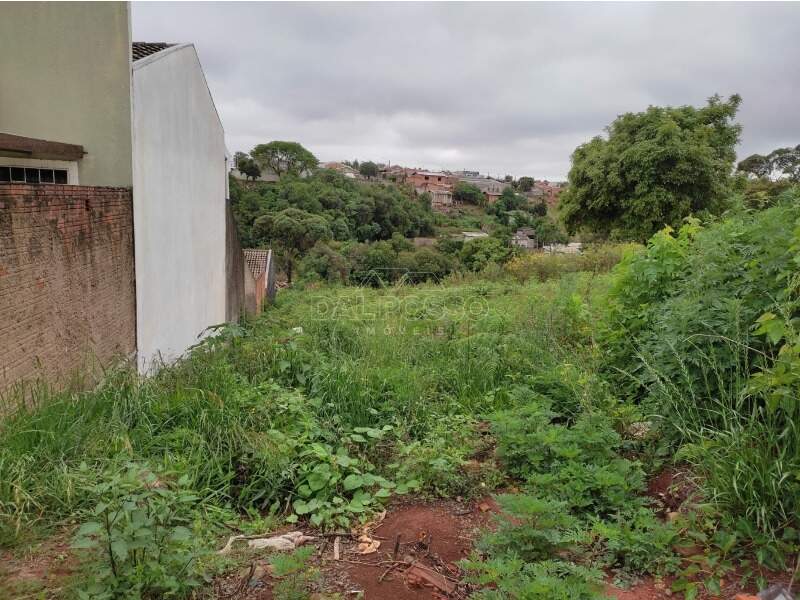TERRENO à venda no MORRO ALTO: 