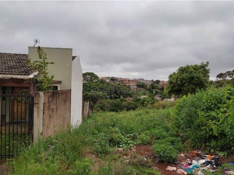 TERRENO à venda no MORRO ALTO: 