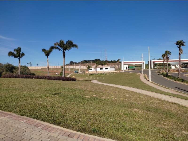 TERRENO à venda no ALTO DA XV: 