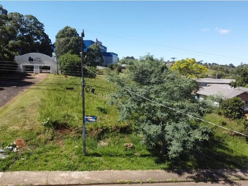 TERRENO à venda no MORRO ALTO: 