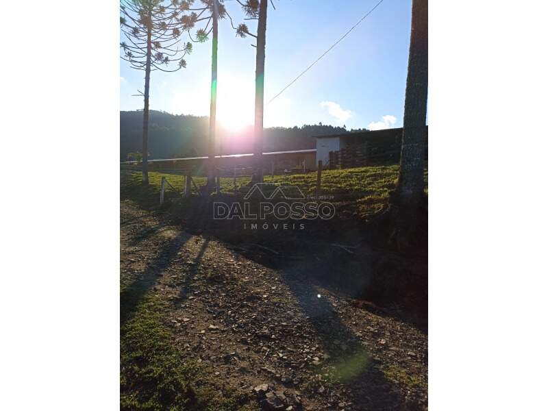 FAZENDA à venda no INTERIOR: 