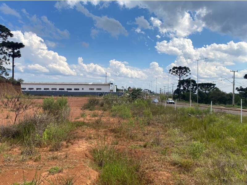 TERRENO à venda no MORRO ALTO: 